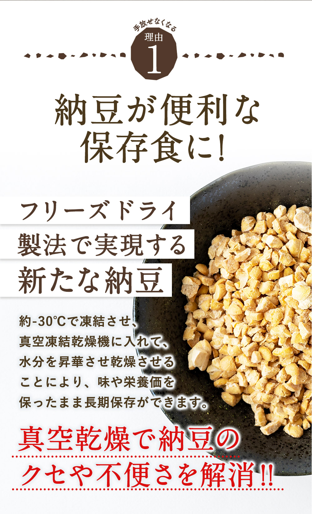 乾燥納豆12